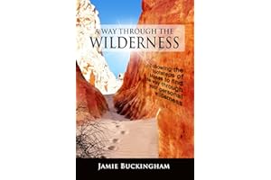 A Way Through the Wilderness: Following the footsteps of Moses find the way through your personal wilderness.