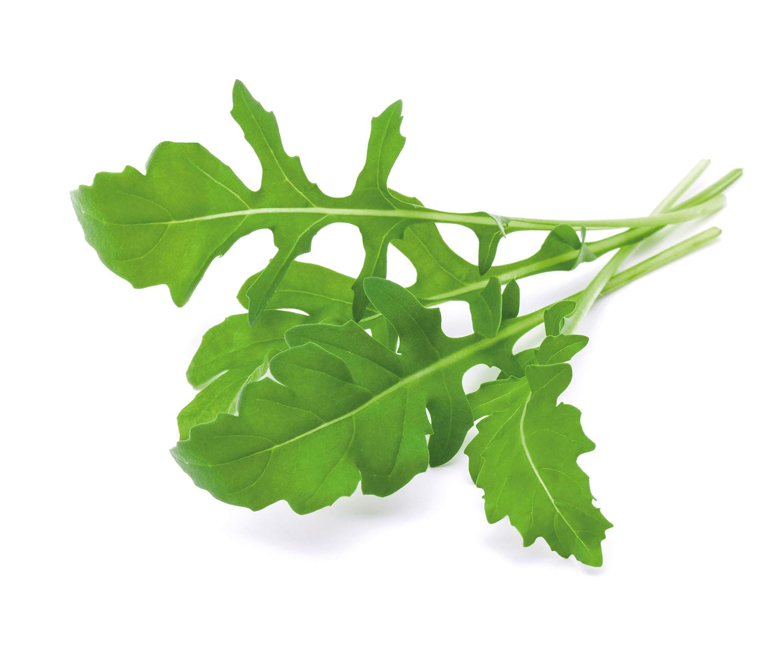 Emsa M5261600 Cápsula de sustrato Click and Grow Rucola, paquete ...