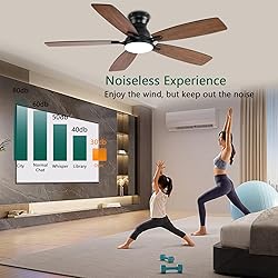 NKPU 52inch Ceiling Fans with Lights, Low Profile