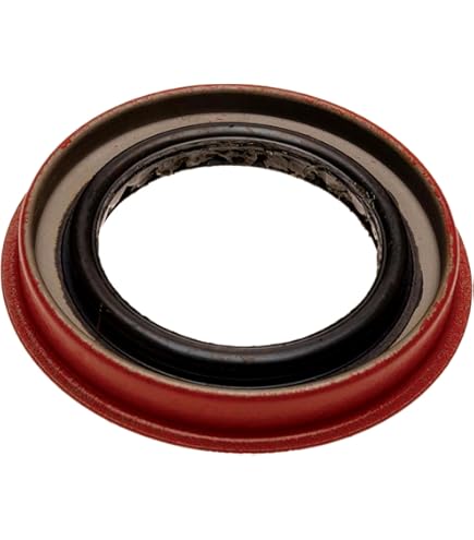 Amazon.com: National 224510 Oil Seal : Automotive
