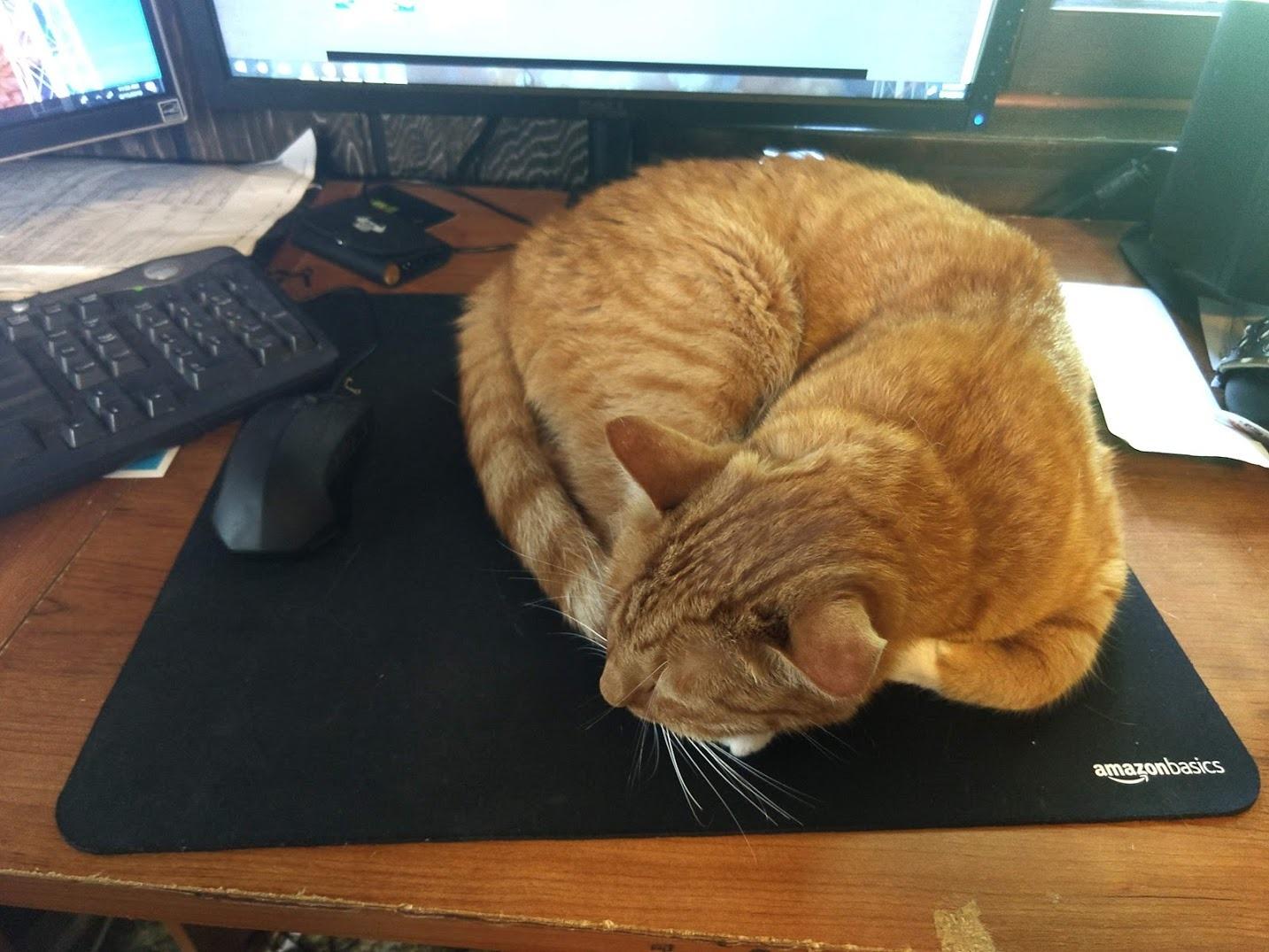 9/mo Finance Amazon Basics Mini Gaming Mouse Pad 10Pack Buy Now