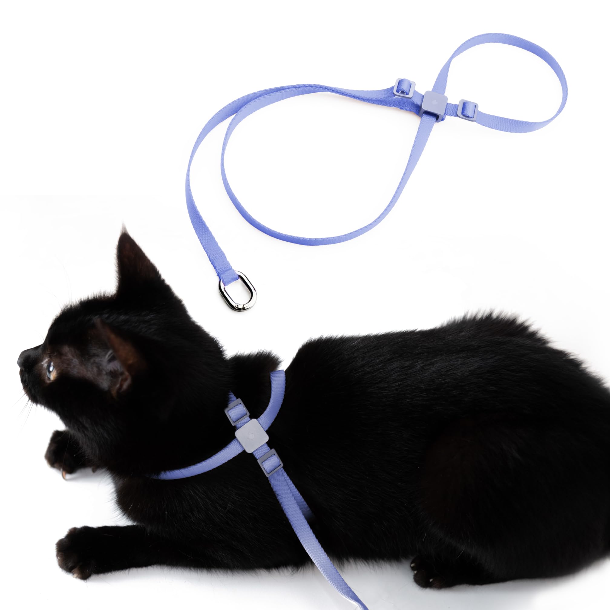 BuddyArmor Escape Proof Cat Harness 8 Shape Anti-Choke Kitten Harness Adjustable Lightweight Secure Soft Nylon for Small Medium Large Cats Outdoor Walking Training Hiking (Purplish Blue, M)