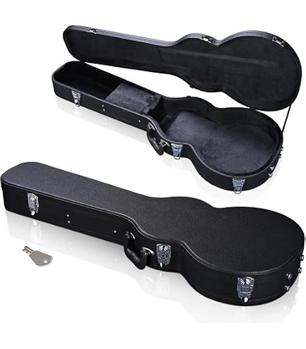 Amazon.com: Epiphone Case for Epiphone Les Paul Standard & Custom
