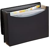 Amazon Basics Expanding Organizer File Folder, Letter Size - Black