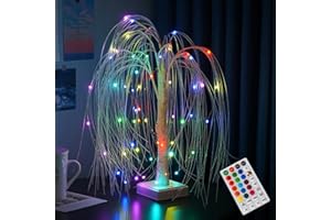 NXUEBDU LED Willow Tree for Christmas Decorations Indoor, White Christmas Tree with LED Lights, 2ft 60 LED RGB Color Changing Lamp with Remote, Light Up Tabletop Tree for Home Holiday Decor