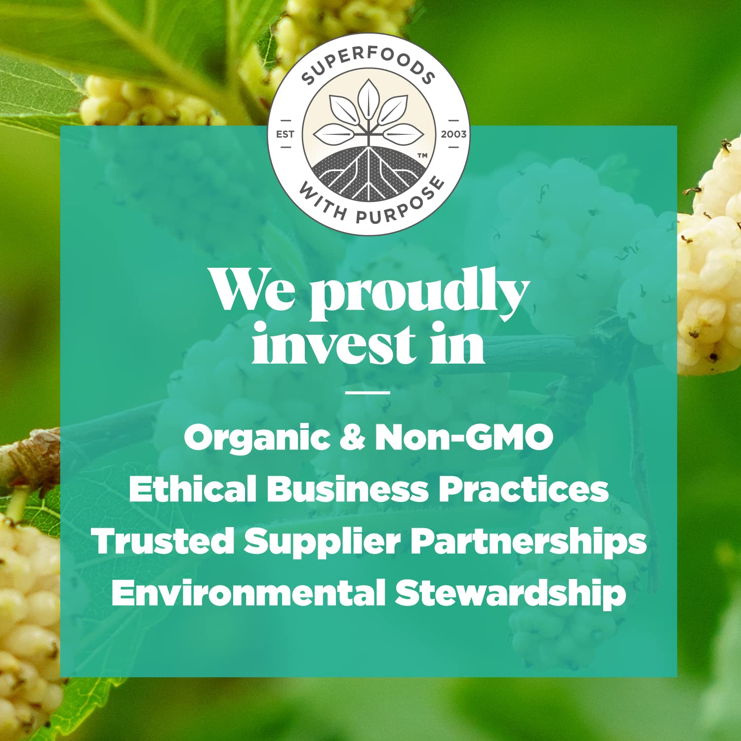 Navitas Organics Mulberries – For Healthy Snacks, Topping, Baking & More – Sun Dried White Turkish Mulberries – No Added Sugar – USDA Organic, Non GMO, Gluten Free, Vegan (8oz. Bag, 8 Servings)