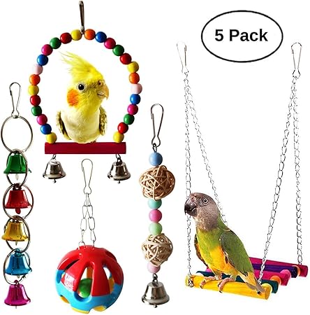 canary toys pets at home
