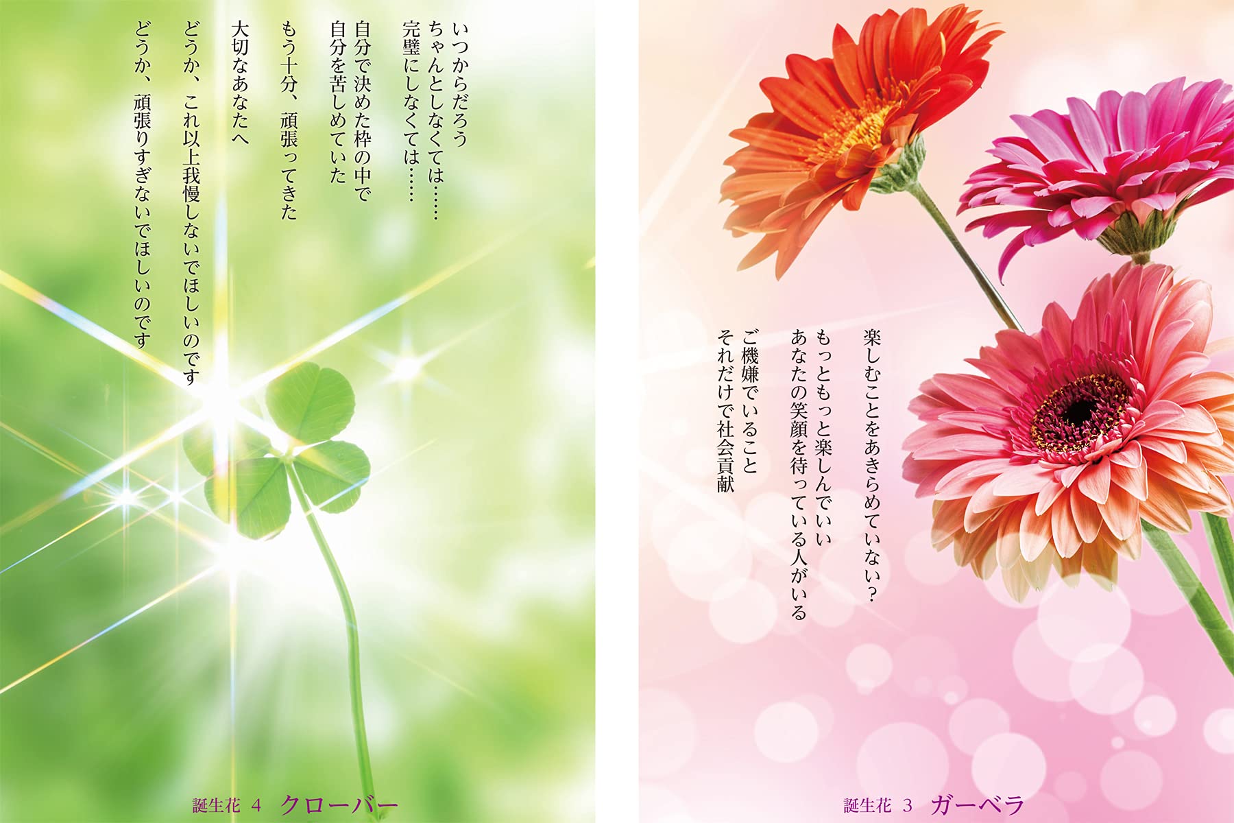 生年月日で導かれた12の花が起こす小さな奇跡 誕生花セラピー 数秘術の魔法 パワー で幸せの扉を開く 白岡三奈 本 通販 Amazon
