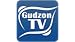 Gudzon TV STB
