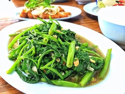 Amazon.com: 10 g 420 semillas, Chia Tai semillas, Morning ...