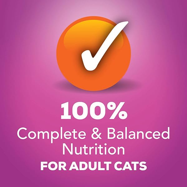 PURINA FRISKIES GRAVY WET CAT FOOD VARIETY PACK, POULTRY SHREDS, MEATY BITS AND PRIME FILETS – (PACK OF 32) 5.5 OZ. CANS