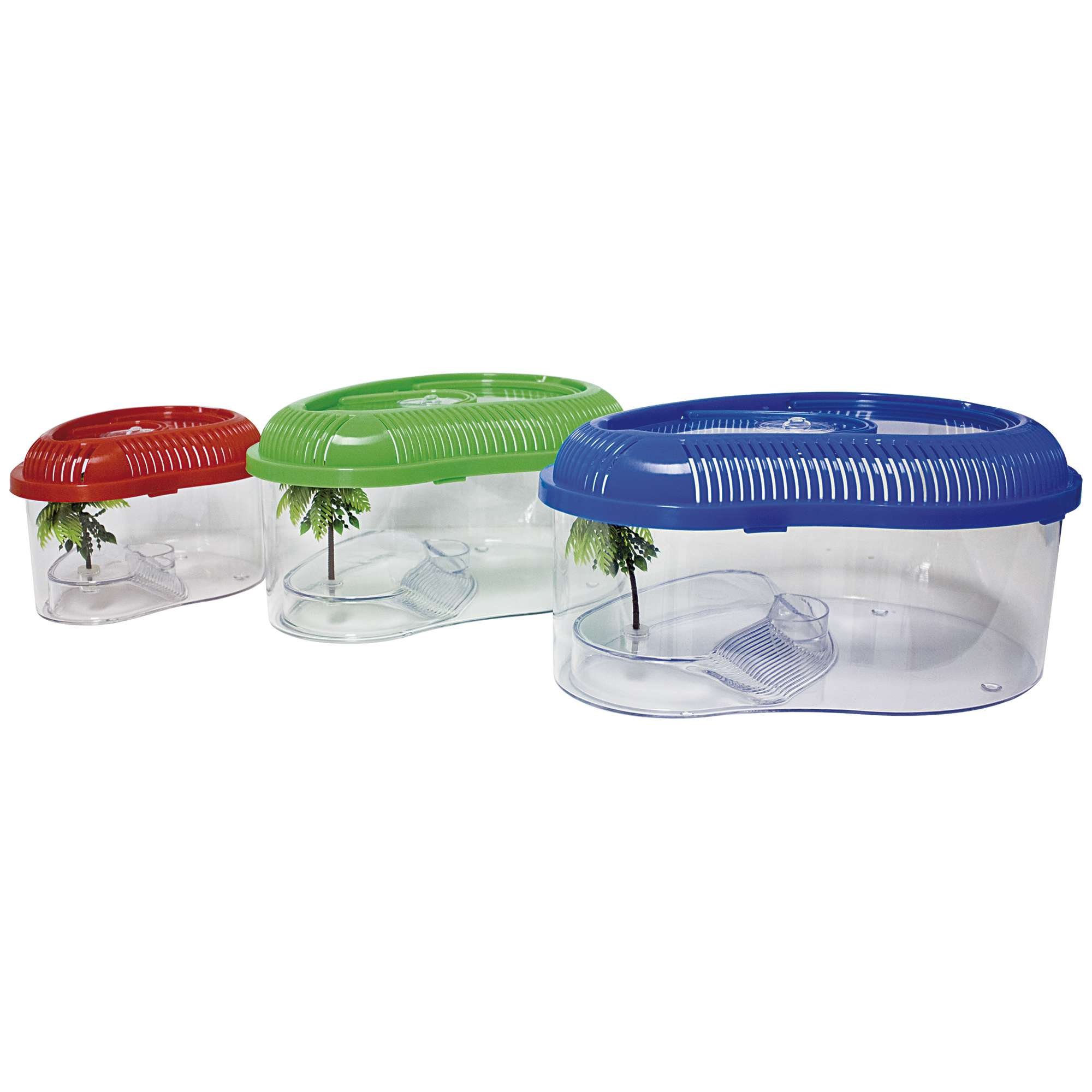 ICA TT351 Turtle without Lid Dophin