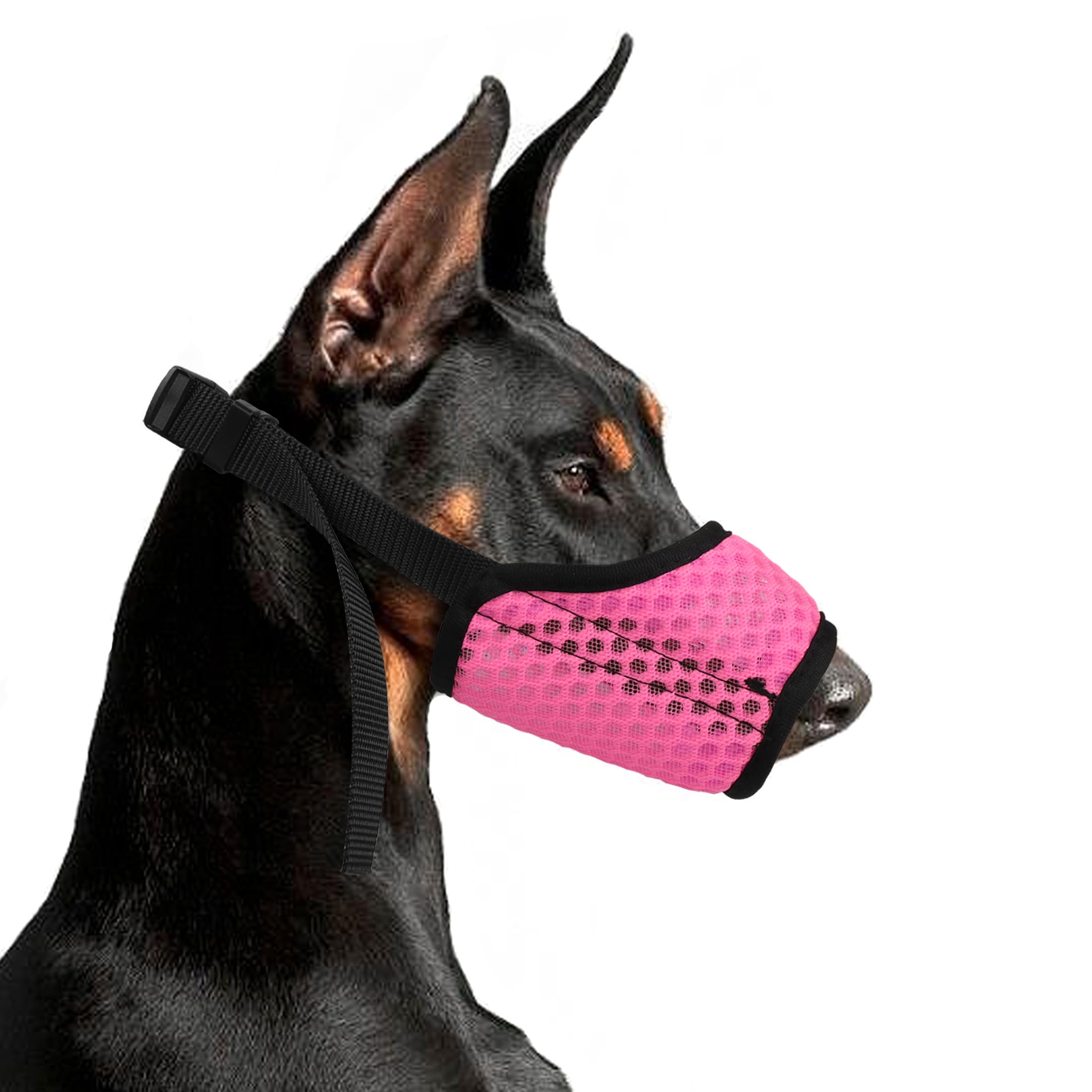 YAODHAOD Muzzle for Dogs, with Rounded Mesh Loop, Breathable Dog Mouth Cover, Prevents Eating, Biting and Chewing (X-Large, Rose red)