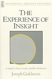 The Experience of Insight: A Simple and Direct Guide to Buddhist Meditation (Shambhala Dragon Editions)
