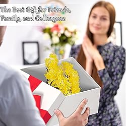 Frjjthchy Mini Artificial Bonsai Tree Plants with