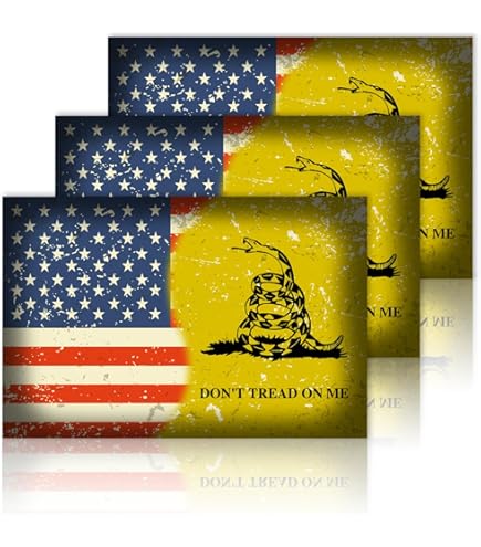 M5S, Annalaura Orrco: "Emendamento Ad Personam Contro La Ma Vttora - Foto 8