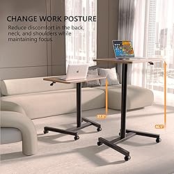 MPETAPT 28-Inch Mobile Standing Desk Adjustable