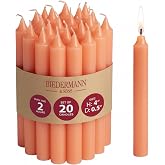 Biedermann &amp; Sons 2-Hour Long Burning Unscented Tree or Chime Candles, Orange, 4 Inch Tall - Set of 20