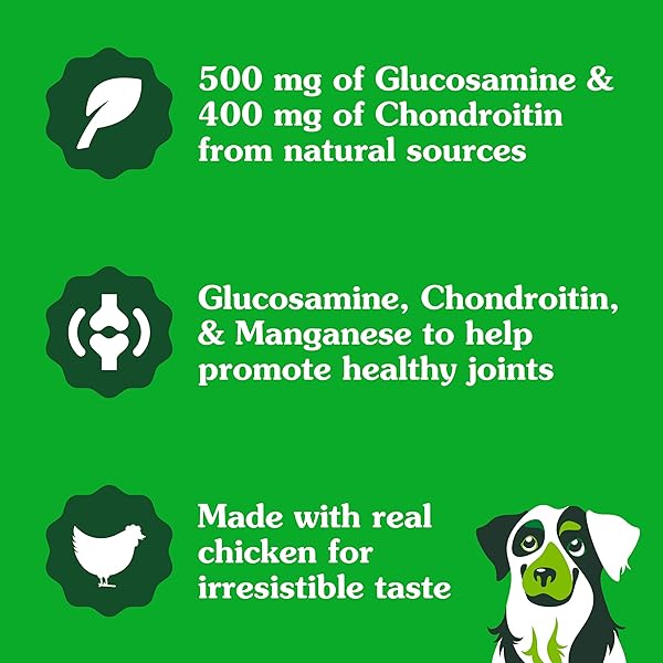 GREENIES SUPPLEMENTS HIP AND JOINT SUPPLEMENTS FOR DOGS, WITH CHONDROITIN & GLUCOSAMINE FOR DOGS, CHICKEN FLAVOR, 16.2 OZ. CONTAINER, 80 COUNT