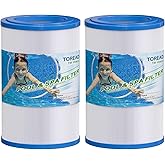 TOREAD Oval Filter Spa Filter PDM30 for Dream Maker Hot Tubs 461269, 30 sq.ft Hot Tub Filter Cartridge 2PACK