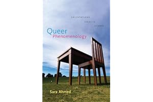 Queer Phenomenology: Orientations, Objects, Others