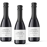 Bridesmaid Proposal Mini Champagne Labels, Bridesmaid Gift, Maid of Honour Gift, Matron of Honour Gift - 10 PACK (Pairs Well)