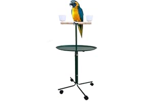 MCAGE Large 23" Play T-Stand Perch Metal Base Parrot Bird Cage Amazon African Grey Macaw Cockatoo (23", Green)