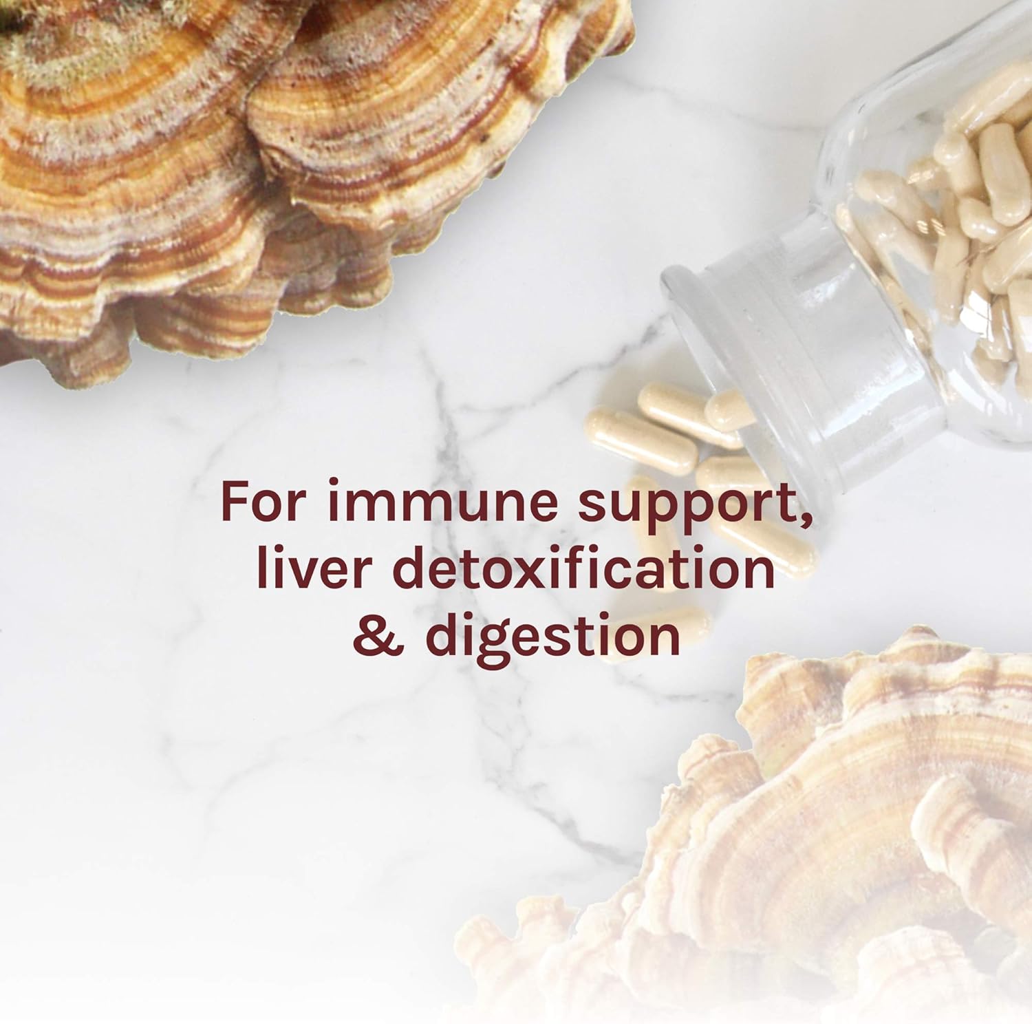 Host Defense, Turkey Tail, 120 Capsules, Natural Immune System and Digestive Support, Daily Mushroom Mycelium Supplement, USDA Organic, 60 Servings: Health & Personal Care