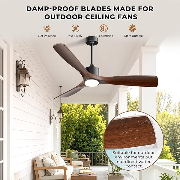 BOOSANT CEILING FANS WITH LIGHTS, CEILING FANS WITH LIGHTS AND REMOTE, 60 INCH MODERN SMART CEILING FAN WITH LIGHT, OUTDOOR CEILING FANS FOR PATIOS 3 BLADE BEDROOM LIVING ROOM PORCH(DARK WALNUT)