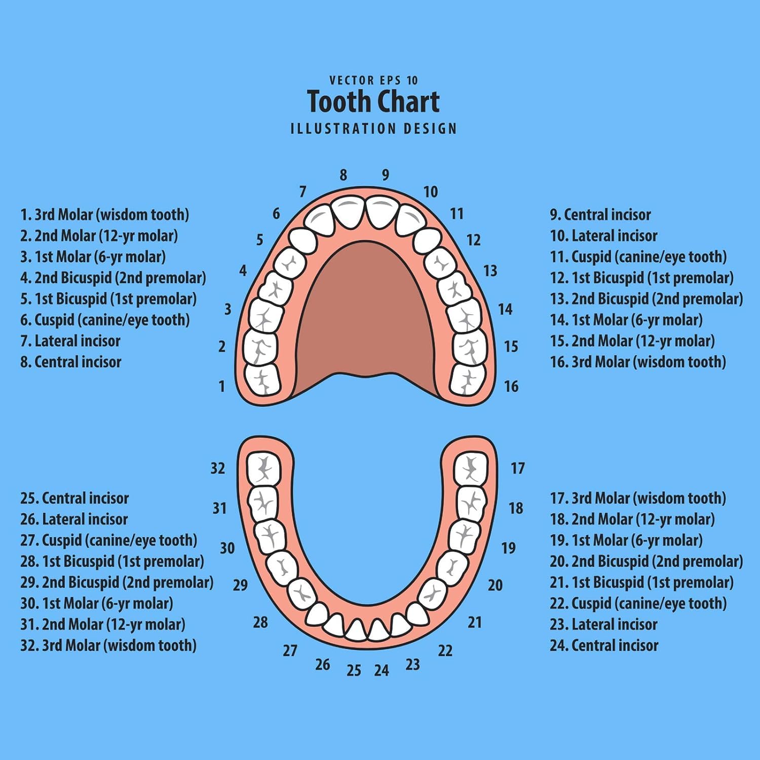 Baby Tooth Box Keepsake for Kids Teeth Storage Holder Child Teeth Organizer Tooth Fairy Box with Baby Fetal Hair Container and Tweezer for Keeping The Child Memory(Blue)