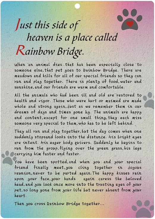 Amazon Com Belifer Pet Sympathy Memorial Card Rainbow Bridge Poem Card For A Pet Loss Dog Memorial Keepsake Gifts Card With Envelope Pet Remembrance Mourning Card Pet Supplies
