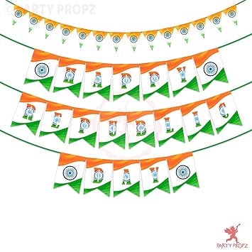 Party Propz 3 Feet Multicolor Triangle Flag Paper Bunting Banner