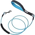 VIVAGLORY Chew Proof Dog Leash, Soft Foam Reflective Padded Handle Dog Chain Leashes, Waterproof Non Chewable Dogs Metal Leash, Stainless Steel Wire Rope Lead for Small Medium Large Dogs, 6FT, Blue