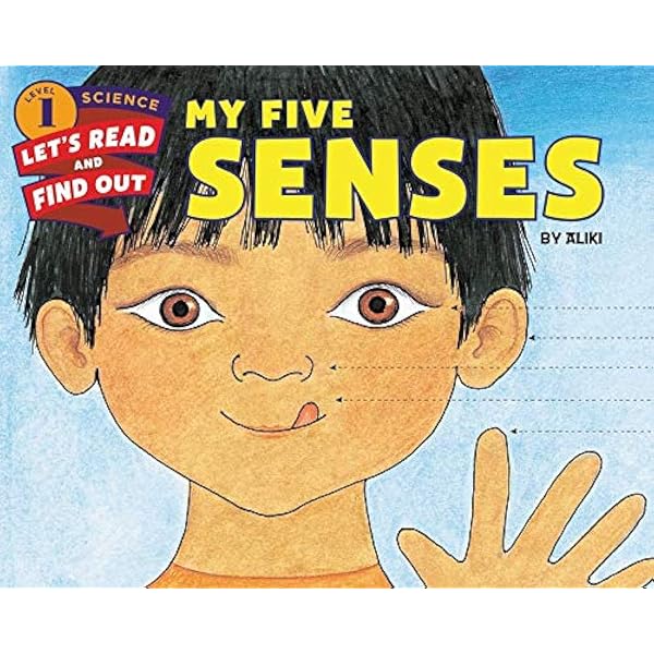 My Five Senses: An Engaging Science Picture Book About Exploring