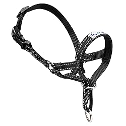 Pawaboo Dog Halter Pet Safe Control - Nylon