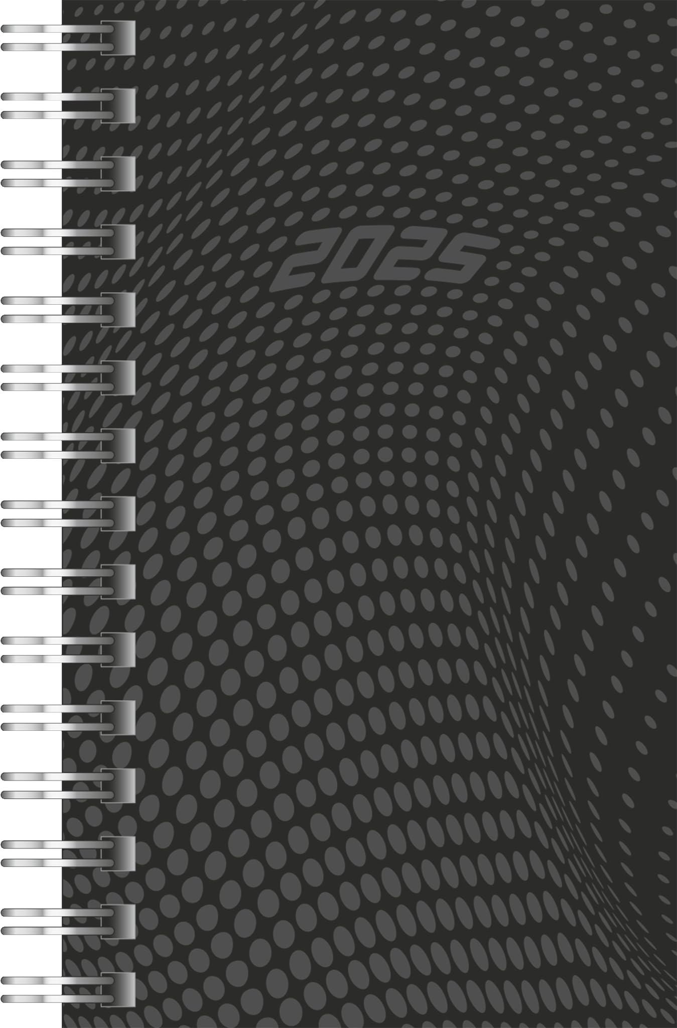 rido/idé Pocket Diary Model Timing 3 (2025), 2 Pages = 1 Week, A7, 160 Pages, PP Cover, Black