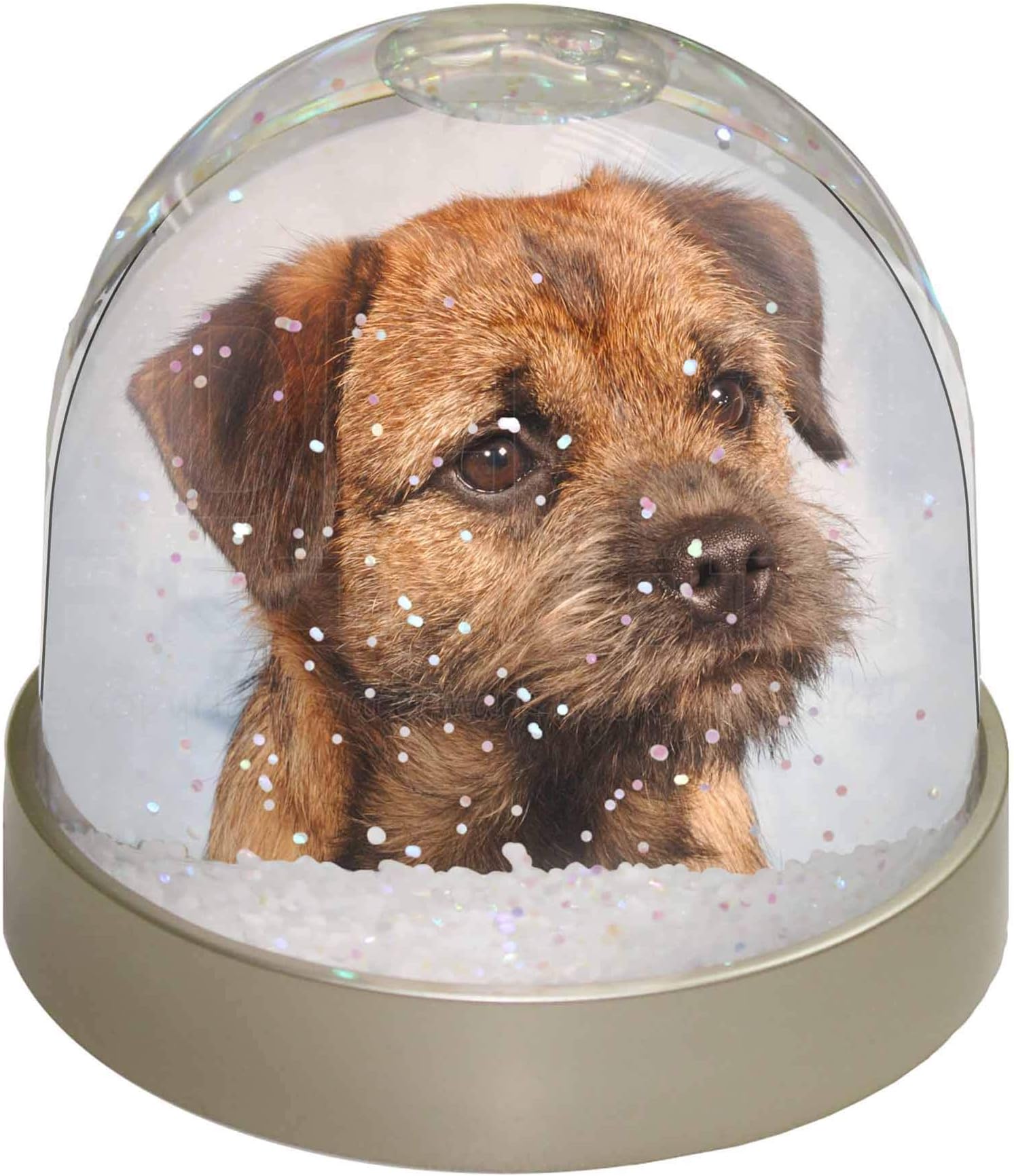 Border Terrier Photo Snow Globe Waterball - Advanta Groupยฎ