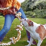 GaiusiKaisa Large Dog Rope Toy 6-Knots 110cm Aggressive Chewers Indestructible view 6