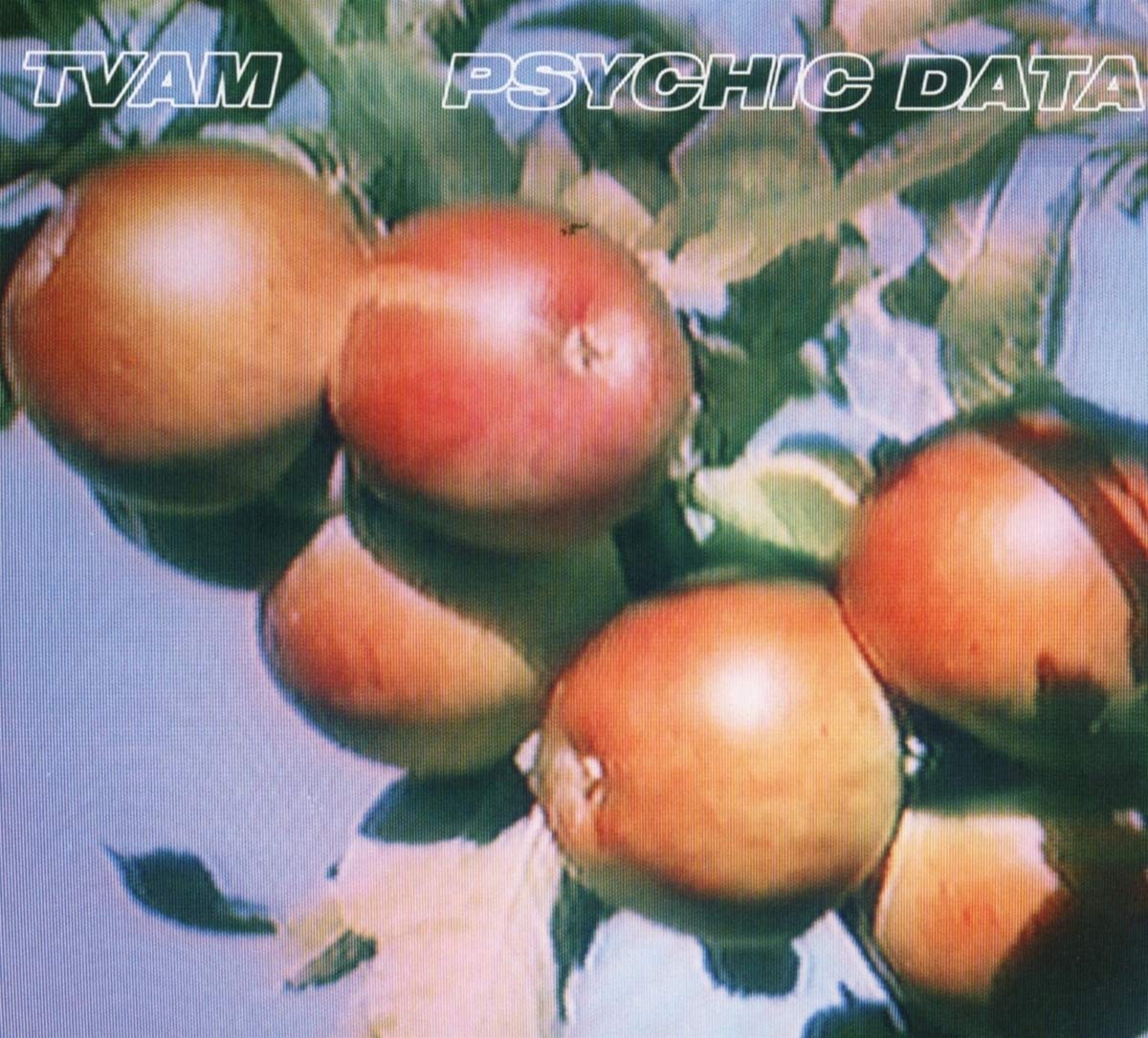 Résultat de recherche d'images pour "psychic data TVAM"