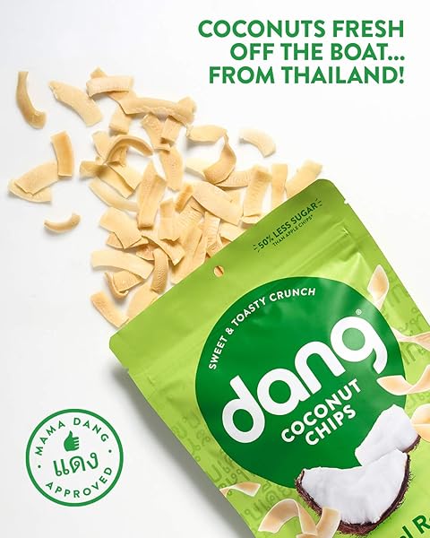 DANG TOASTED COCONUT CHIPS | ORIGINAL | 1 PACK | VEGAN, GLUTEN FREE, NON GMO, HEALTHY SNACKS MADE WITH WHOLE FOODS | 3.17 OZ RESEALABLE BAG