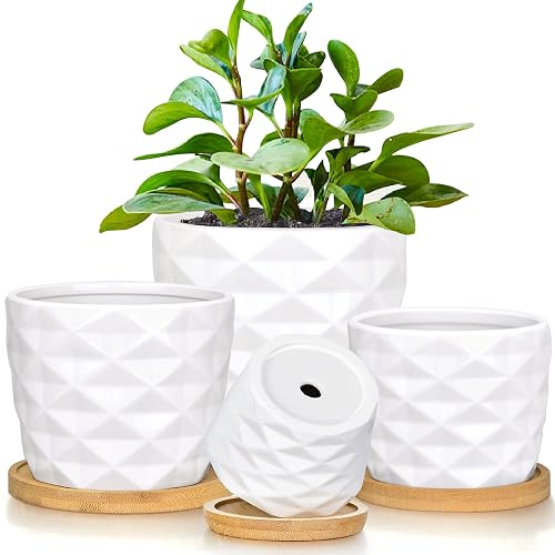 Succulent Pots, White Ceramic Pots for Plants Set of 6 Succulent ...