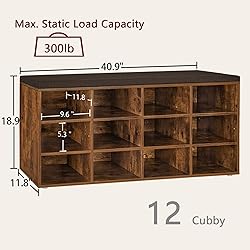 DINZI LVJ Shoe Storage Bench with Cushion, Cubby