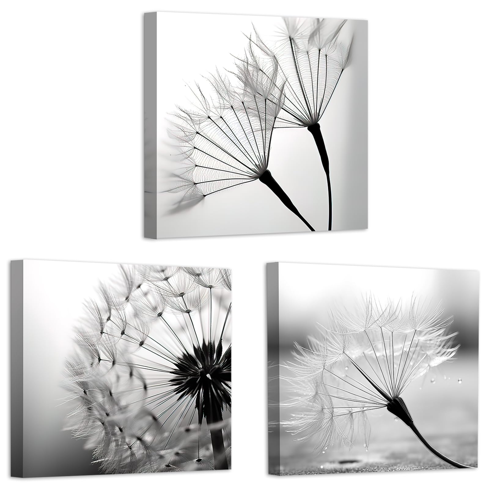 LZIMU Black and White Canvas Wall Art 3 Pieces Dandelion Picture Prints Rustic Flower Painting for Kitchen Bedroom Bathroom Decor Framed (Dandelion-1, 12.00"x12.00"x3)