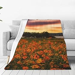 Luatbzak Game Blanket Cosplay Warm Throw Blanket 3D