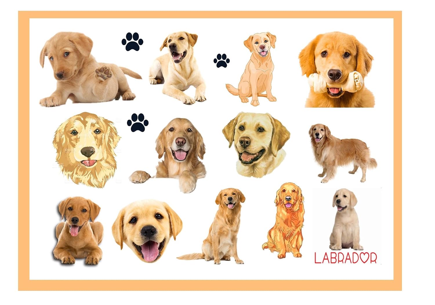 Amazon Com Golden Retriever Collection Golden Retriever Temporary Tattoos Beauty