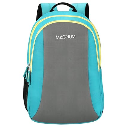 Magnum Polyester 24 Ltrs Teal Laptop Backpack (PLUTO18CBTEA)