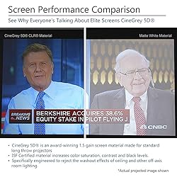 Elite Screens Aeon CineGrey 5D, 150-Inch Diagonal