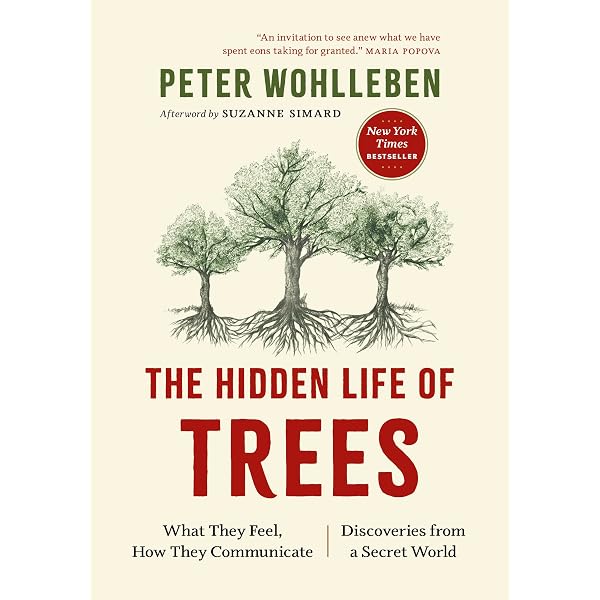 Peter Wohlleben 洋書 3冊セット The Power of Trees: Peter Wohlleben: 9781760643621: Amazon.com: Books