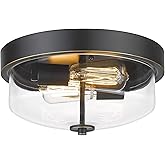 Emliviar 1 Pack Ceiling Light Fixture with Clear Glass Shade - Indoor Flush Mount Ceiling Light 12 Inch, Black Finish, TE217F