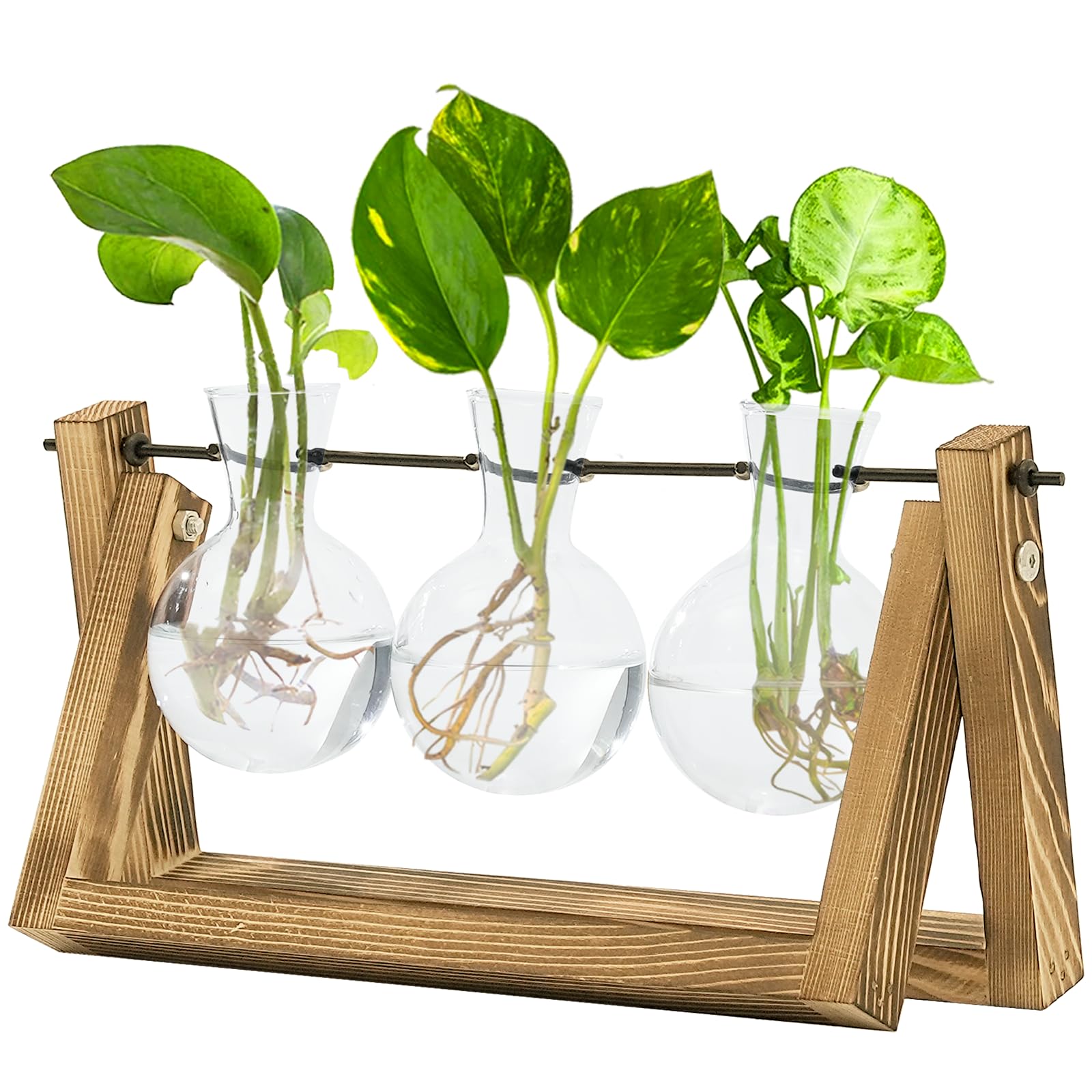 Bamworld Hydroponics Plant Propagation Station with Wooden Stand - 3 Glass Vases for Water Plant Growth and Home Decor